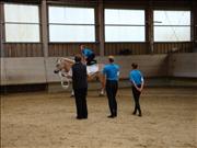 voltitag 2009 _CD2 131